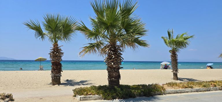 Campingplatz direkt am Strand